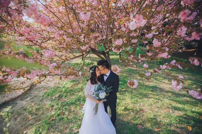 985学霸们的婚姻选择：他们最后都嫁给了谁？揭秘高学历女性的婚恋观
