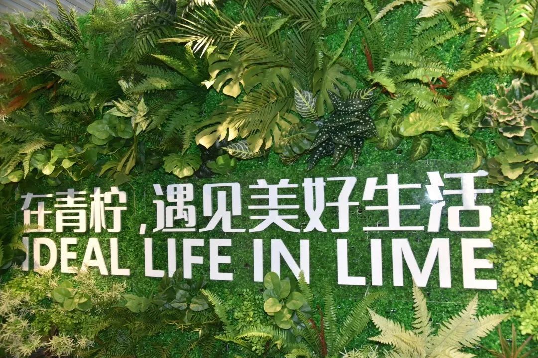 区人大组织人大代表开展集中视察活动，深入调研民生问题