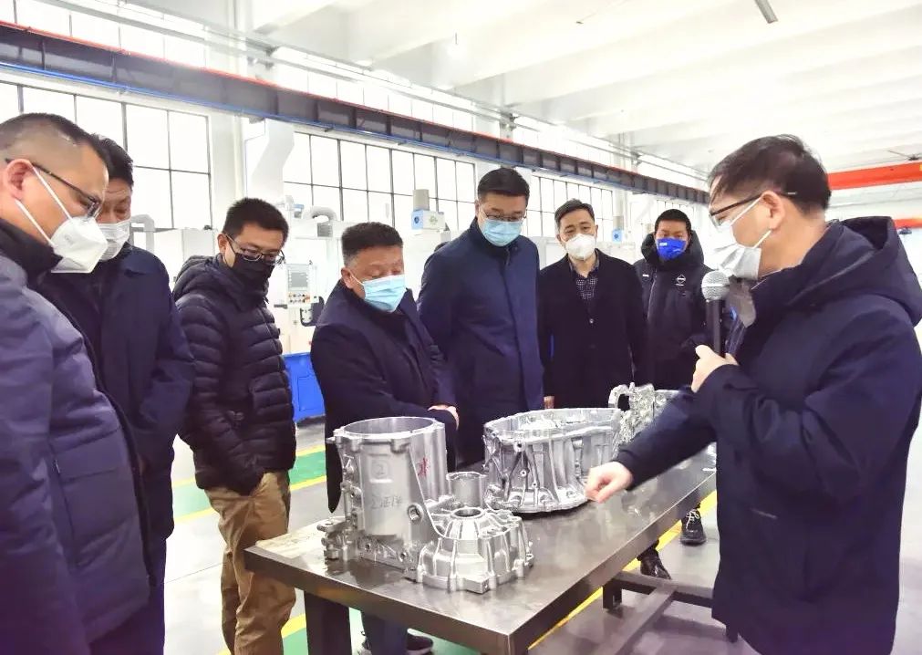 区人大组织人大代表开展集中视察活动，深入调研民生问题